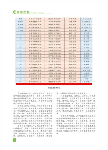 页码 (21)