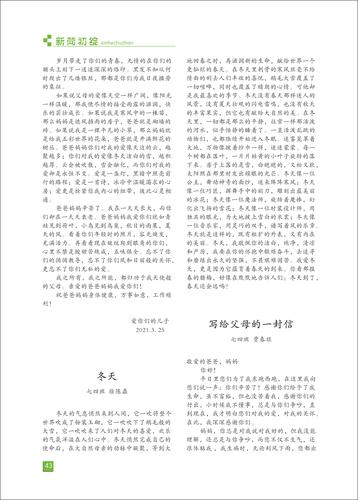 页码 (43)
