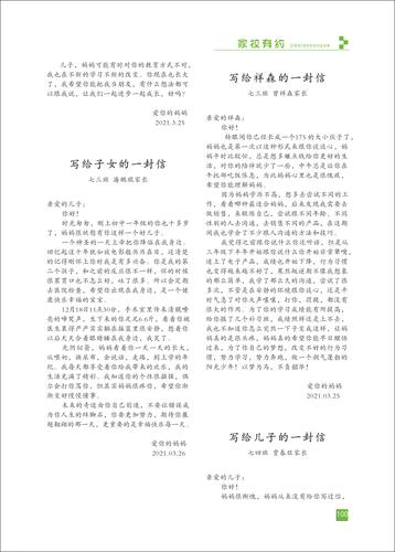 页码 (100)