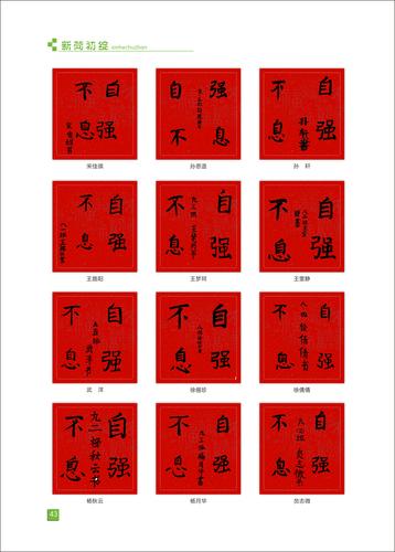 页码 (43)