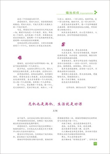 页码 (2)