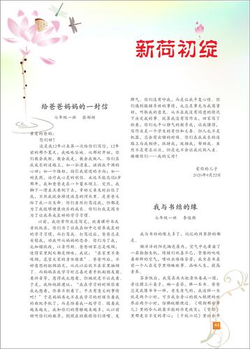 页码 (44)