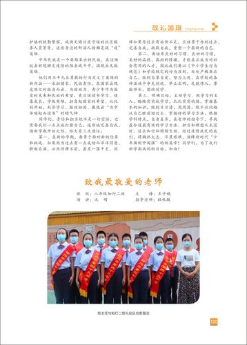 页码 (100)