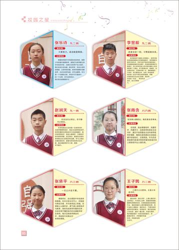 页码 (85)