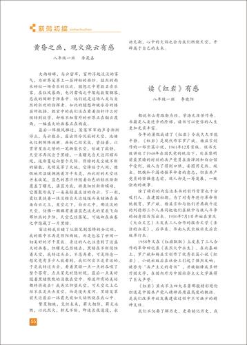 页码 (55)