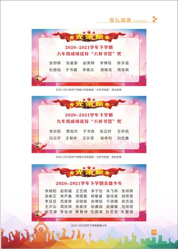 页码 (100)