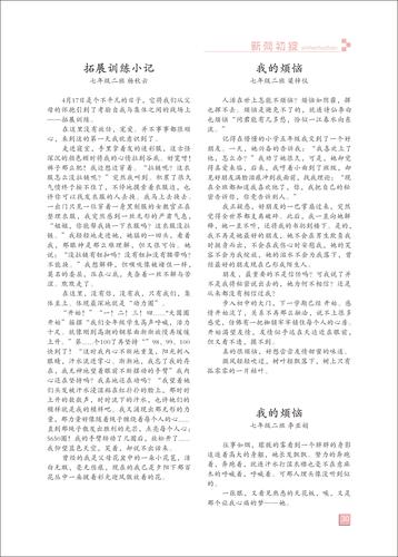页码 (30)