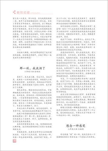 页码 (39)