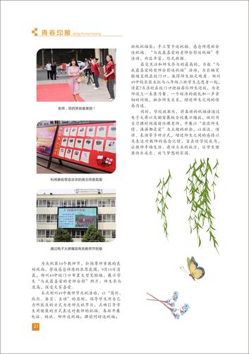 页码 (31)