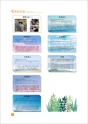页码 (43)