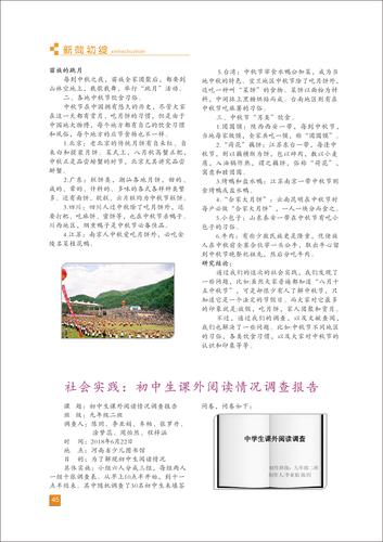 页码 (45)