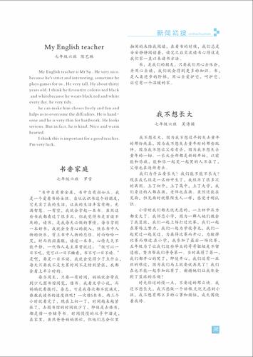 页码 (38)