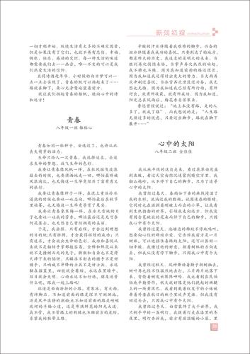 页码 (38)