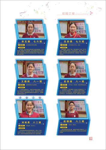 页码 (74)