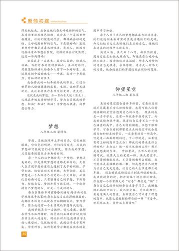 页码 (45)