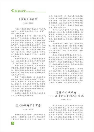 页码 (45)