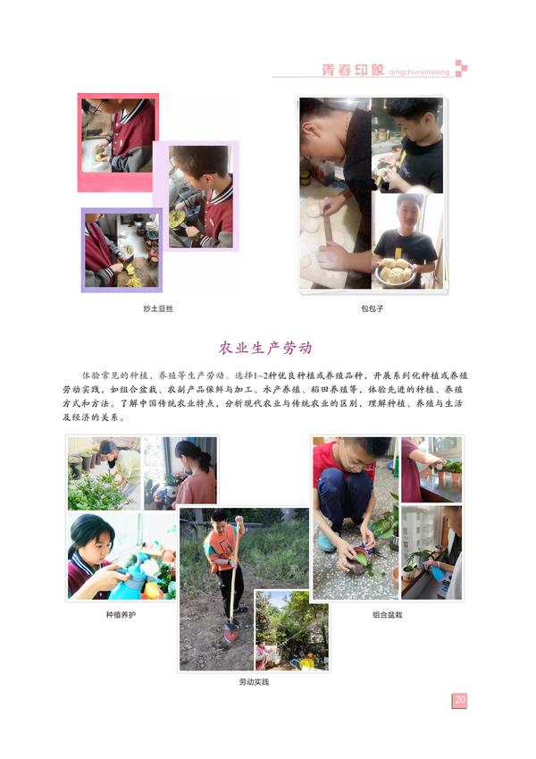 页码(20)