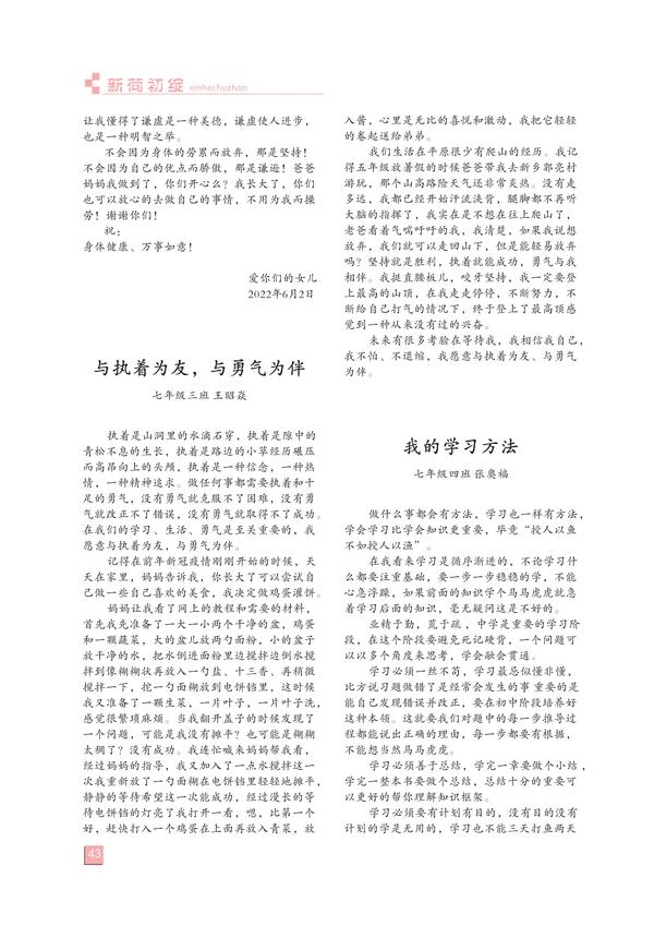 页码(43)