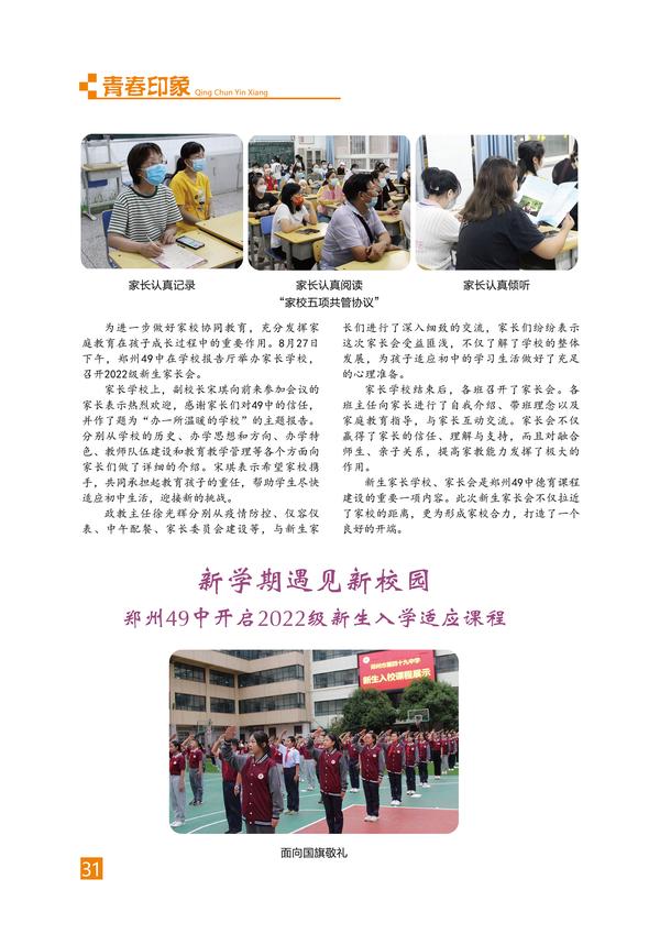 页码 (31)