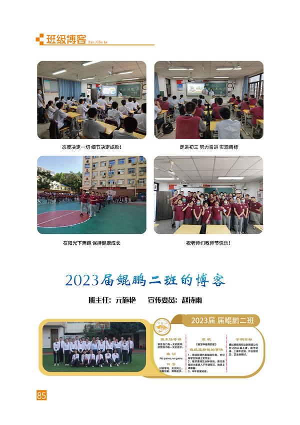 页码 (85)