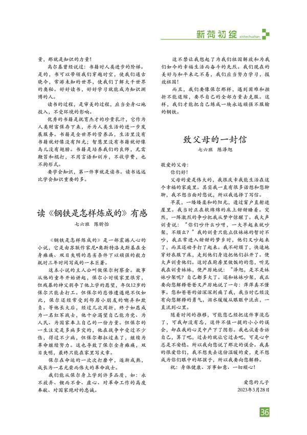页码 (36)