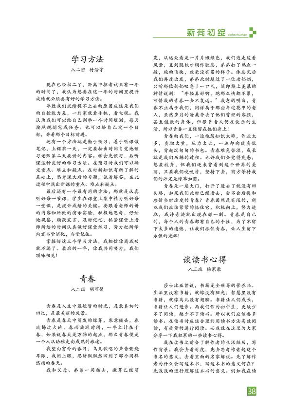页码 (38)