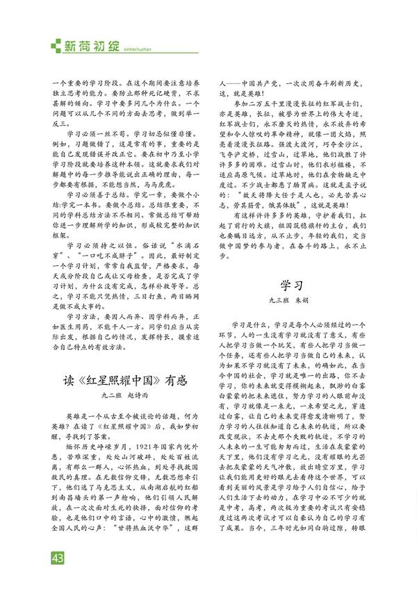 页码 (43)