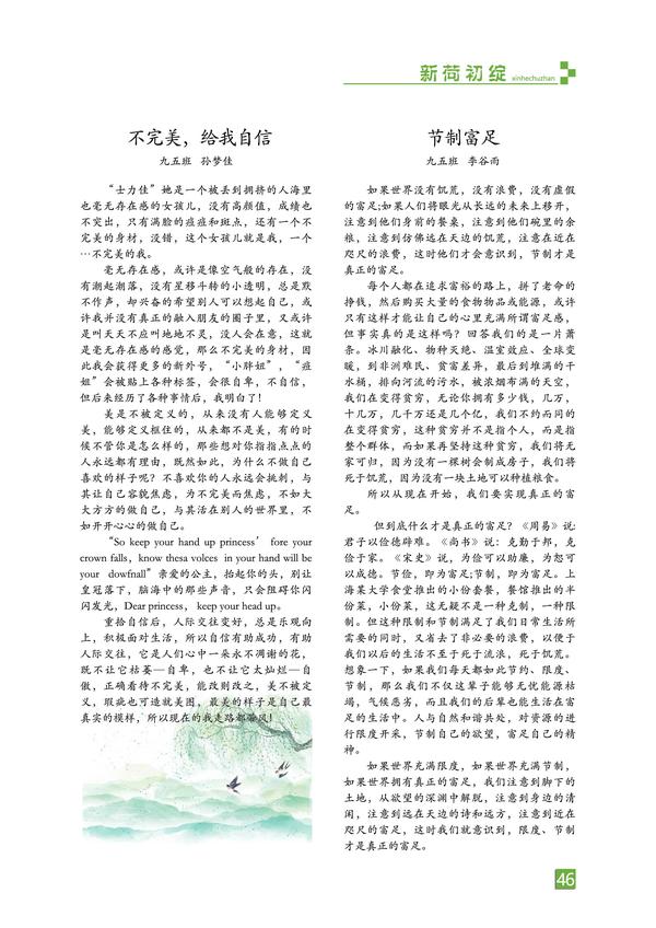 页码 (46)