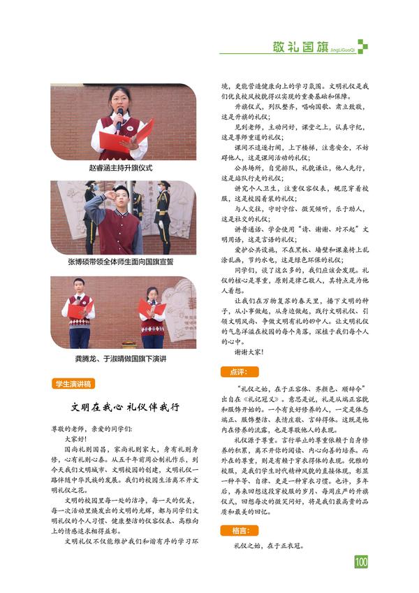 页码 (100)