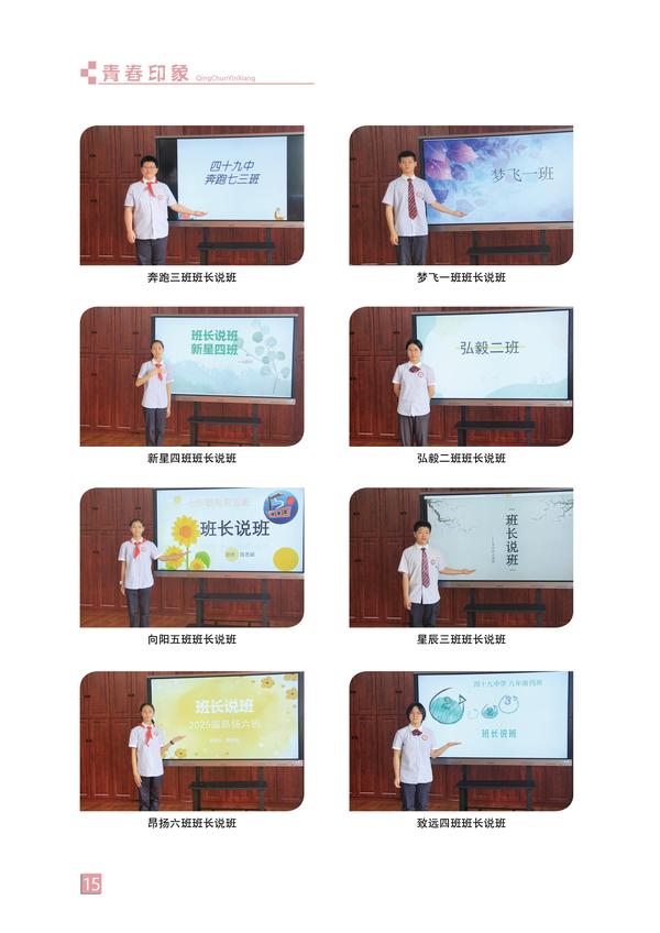 页码 (15)