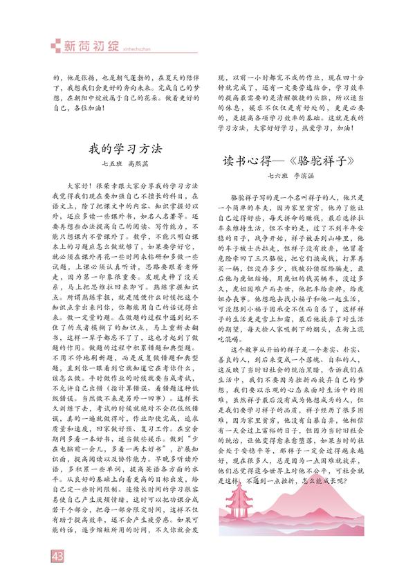 页码 (43)