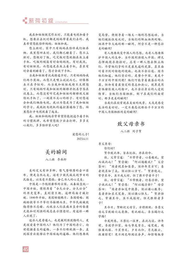 页码 (45)