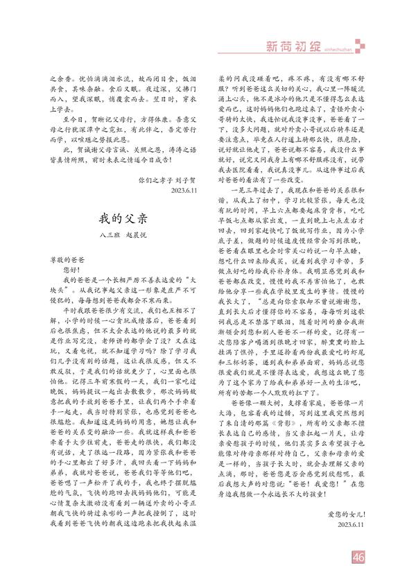 页码 (46)