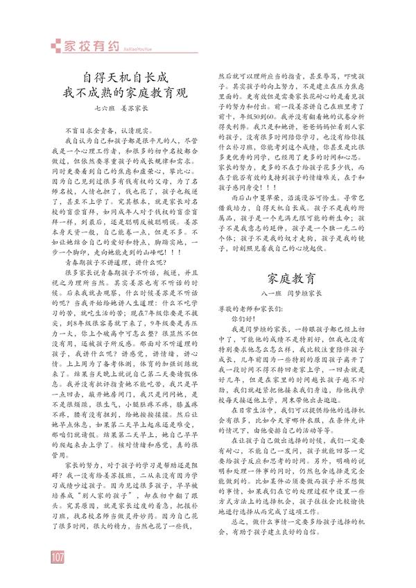 页码 (107)