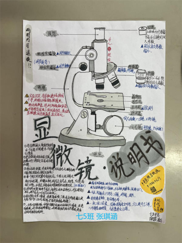 图片 12