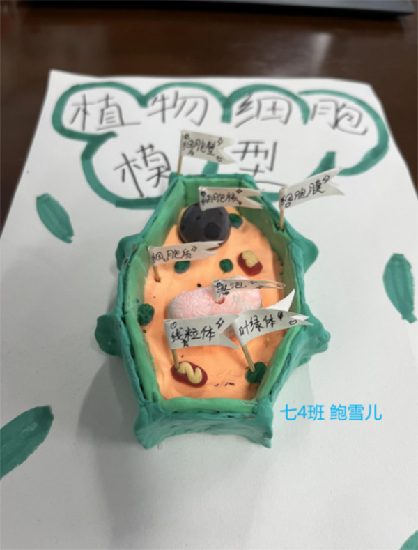 图片 20