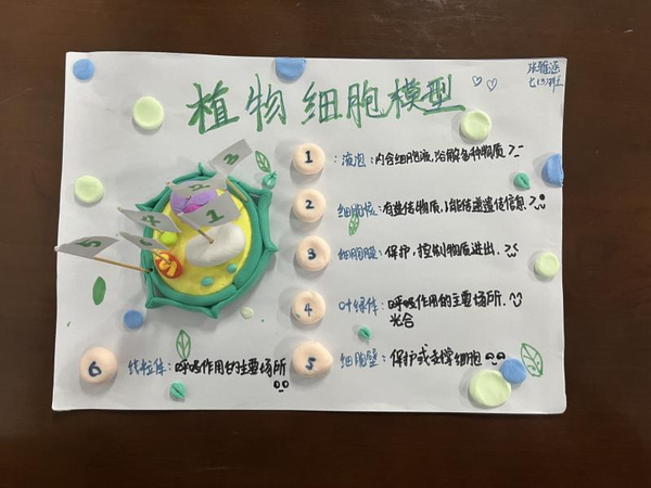 图片 26