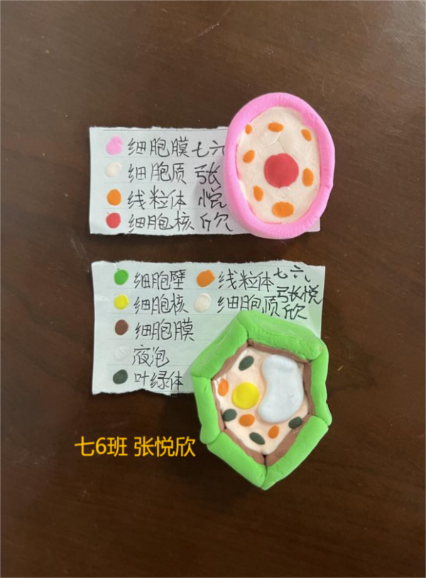 图片 29
