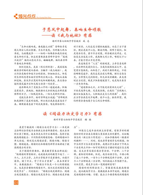 页码 (3)