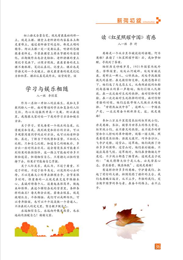 页码 (36)