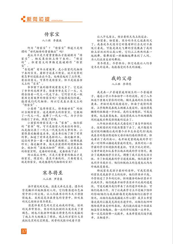 页码 (37)