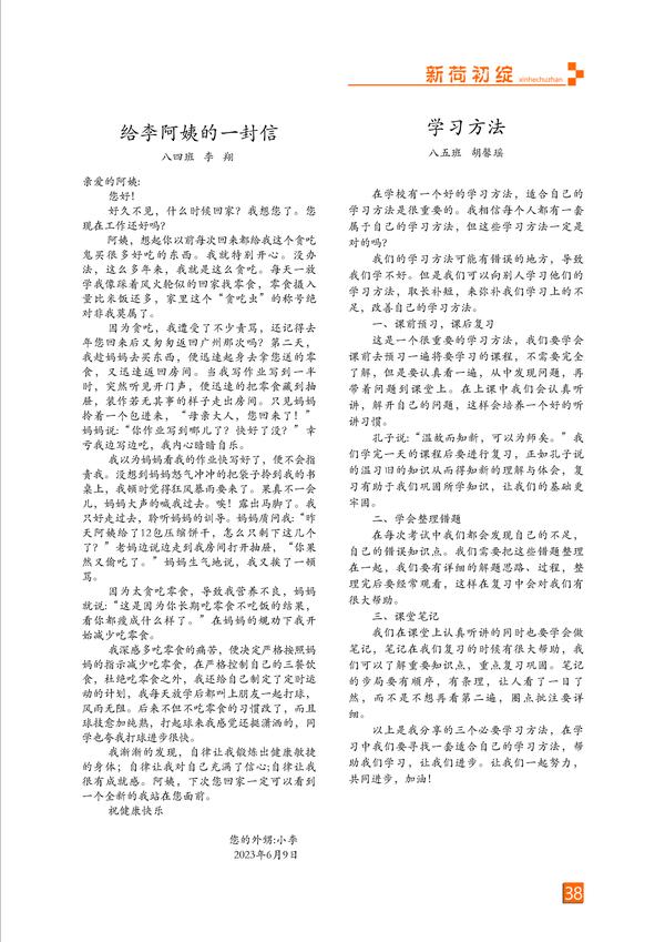 页码 (38)