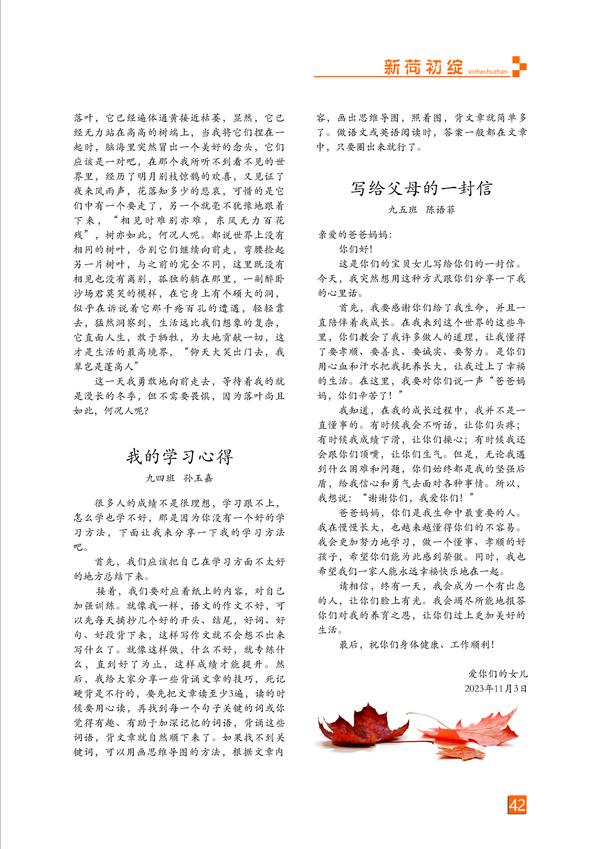 页码 (42)