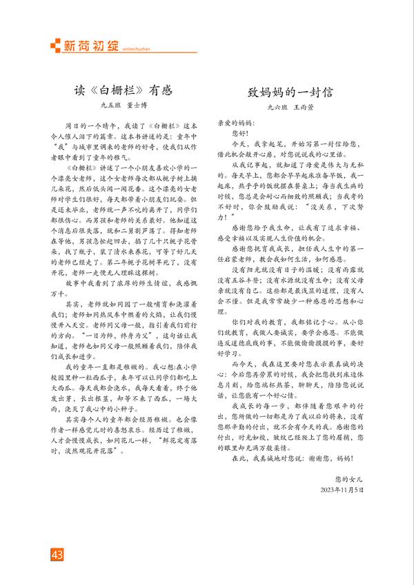 页码 (43)