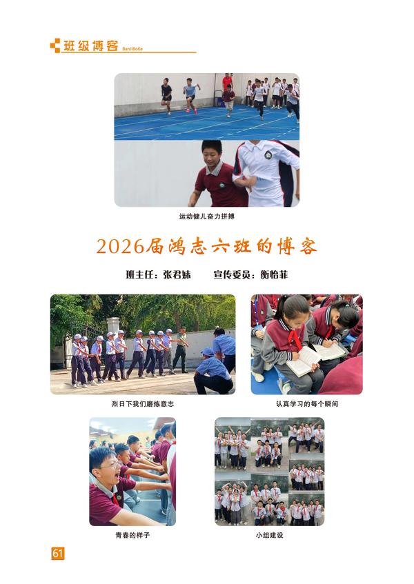 页码 (61)