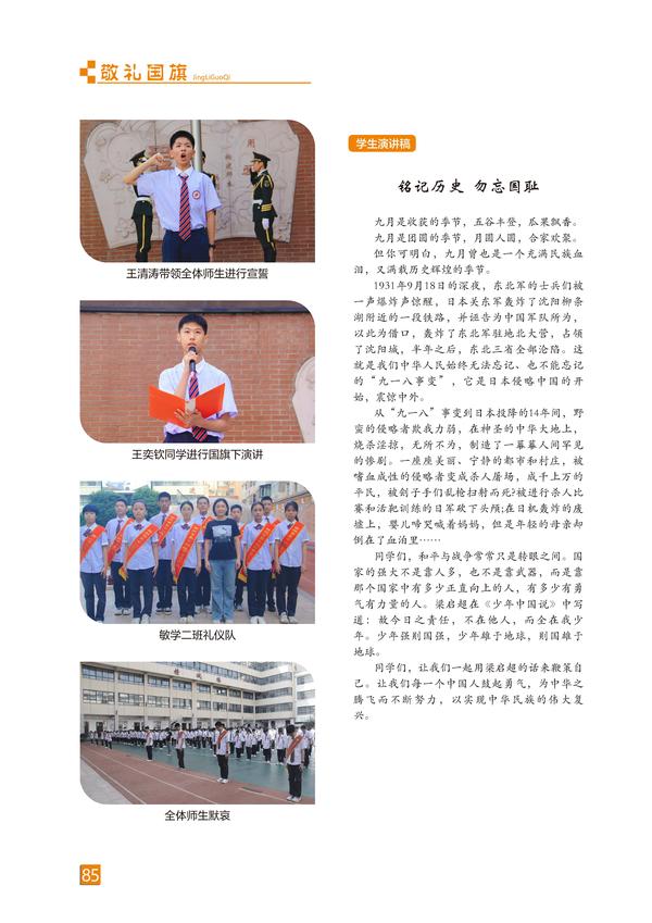 页码 (85)