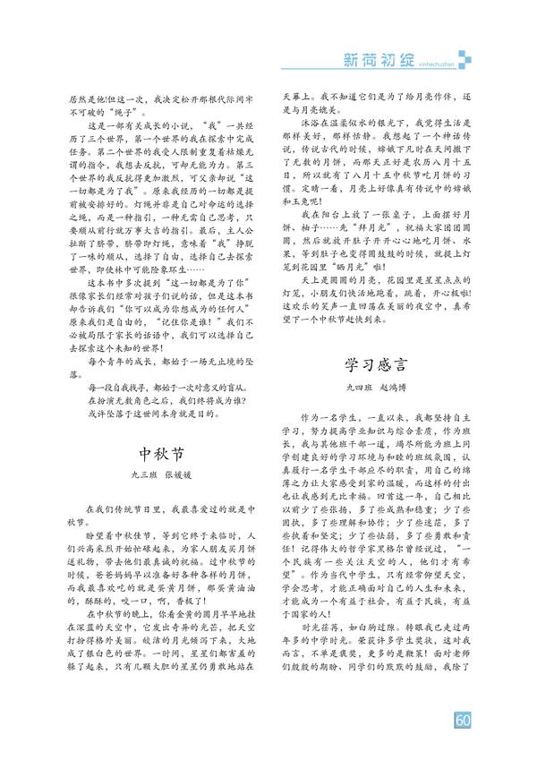 页码 (60)