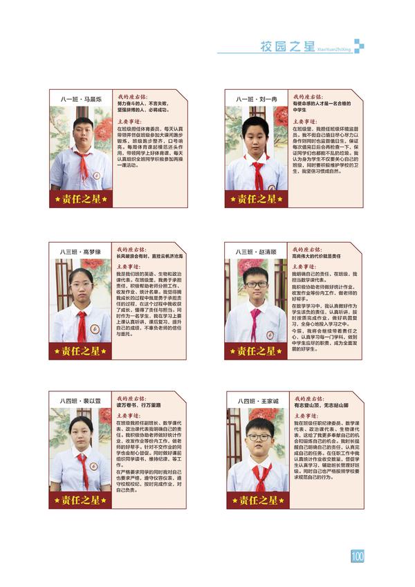 页码 (100)