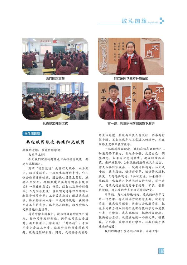 页码 (118)
