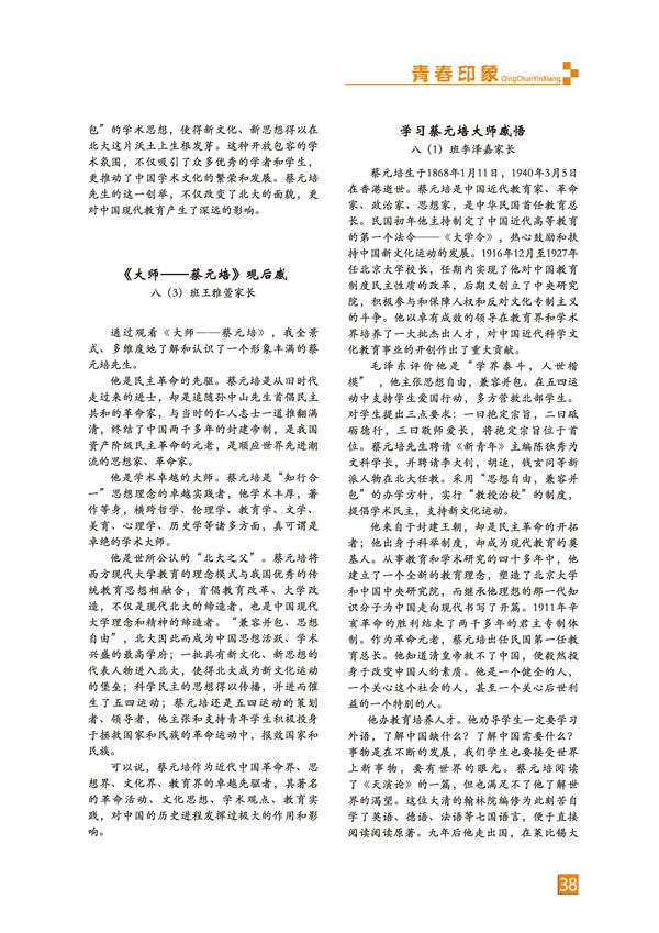 页码 (38)